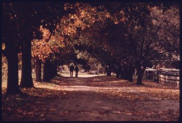 A couple of people walking down the road in autumn.